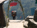 Nepalesischer Träger auf dem Weg nach Chomrong